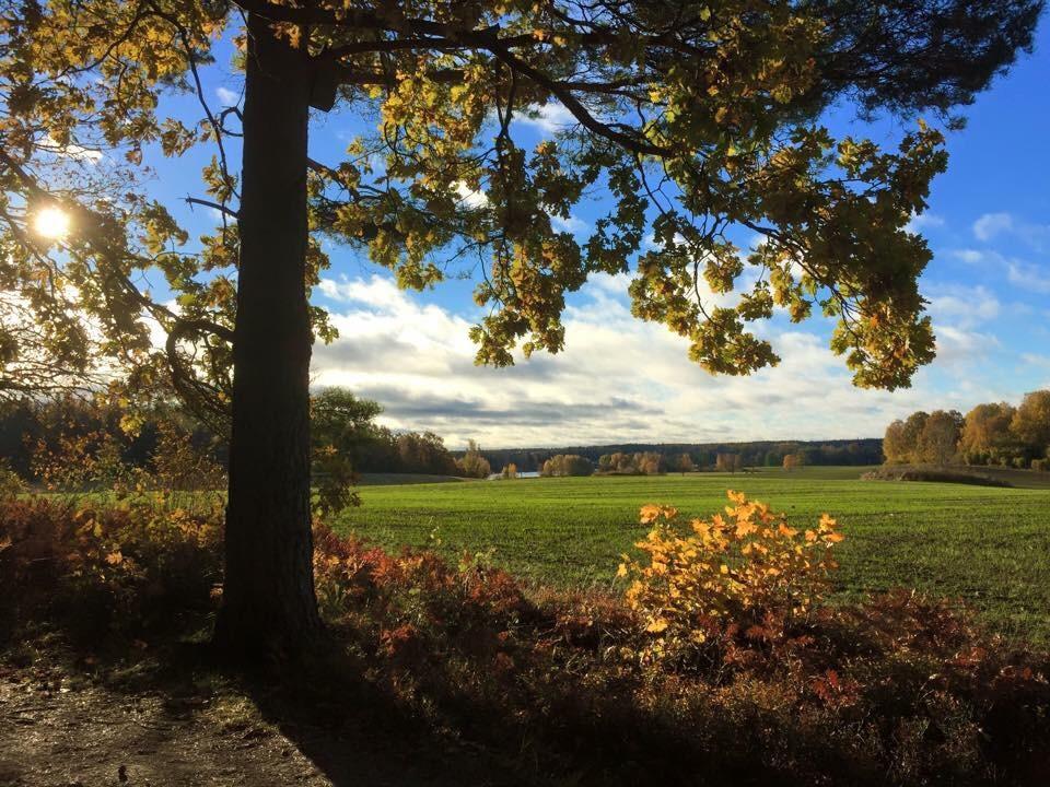 Stora Djuloe Vandrarhem Katrineholm Exterior photo